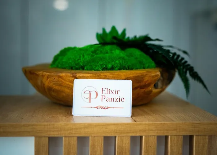 B&B Elixir Panzio