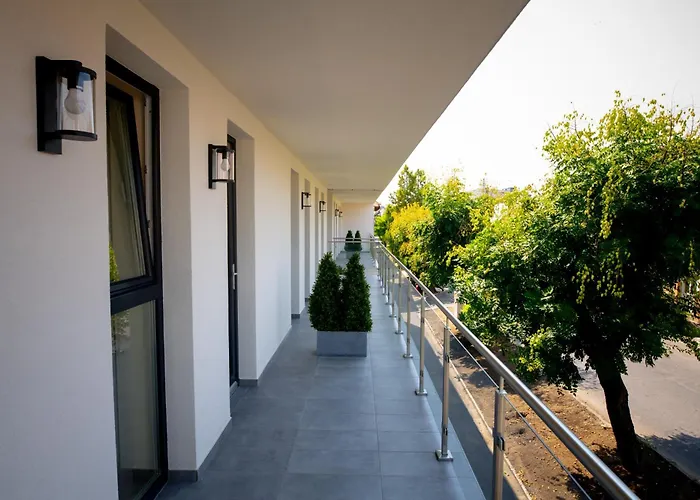 Elixir Panzio Nyírbátor